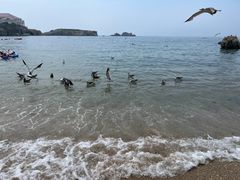 -星海广场