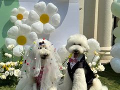 -J Create城市露营咖啡·简餐·宠物(上海动物园店)