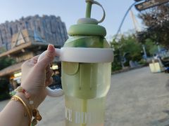 -无锡融创乐园