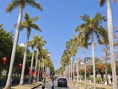 -厦门大学(思明校区)