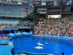 -海合安成都极地海洋公园