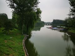 -大兴滨河森林公园