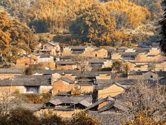 -杨家堂村