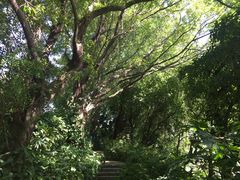 -佛山祈福仙湖酒店