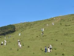 -大姆山草场