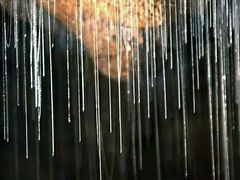 -怀托摩萤火虫洞