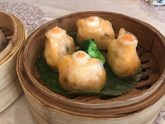 澳洲带子饺-纳福苑(亮庆餐饮分店)