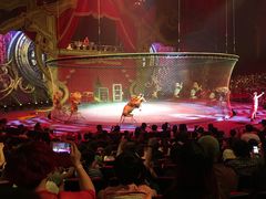 -珠海横琴长隆《卡卡虎奇遇记》