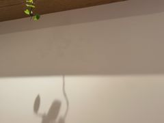 -团子君寿司·茶