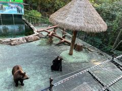 -深圳野生动物园