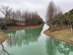 -贡湖湾湿地公园