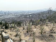 -白水寺森林公园