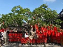 -中山詹园