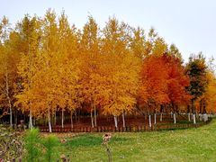 -长春世界雕塑园冰雪艺术天地