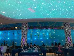 -瑞德姆美人鱼海底演艺主题餐厅(亚龙湾店)