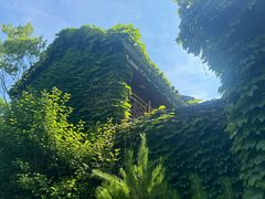 -申正律师团队-法律咨询(杨高店)