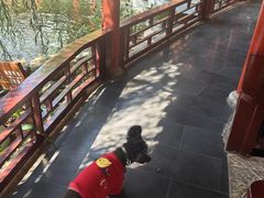 -香麒园·过桥米线·南湖雅宴