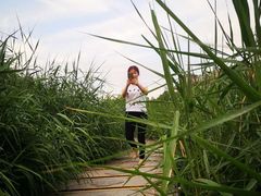 -西安汉城湖景区