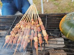 -梁子湖东篱老屋生态庄园
