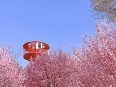 -郑州中国绿化博览园