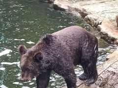 -深圳野生动物园