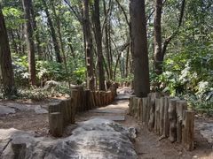 -云龙山