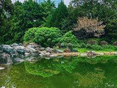 -新虹桥中心花园
