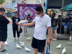 -烟台海昌鲸鲨海洋公园