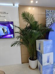 -深圳美莱医疗美容医院
