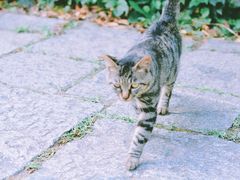 -上海植物园·停车场