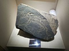 -宁夏博物馆
