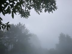 -窦圌山风景区