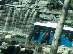 -北京野生动物园