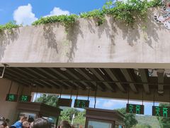 -上方山森林动物世界
