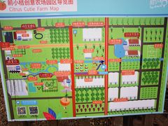 -前小桔亲子创意农场·草莓采摘·露营烧烤