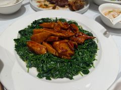 -新雅粤菜馆(南京东路店)