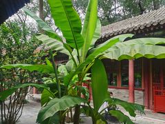 -恭王府博物馆