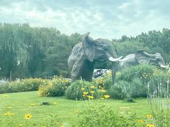 -北京野生动物园