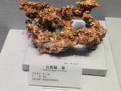 -湖南省地质博物馆