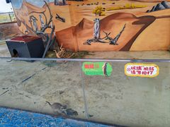 -芜湖新华联大白鲸海洋公园