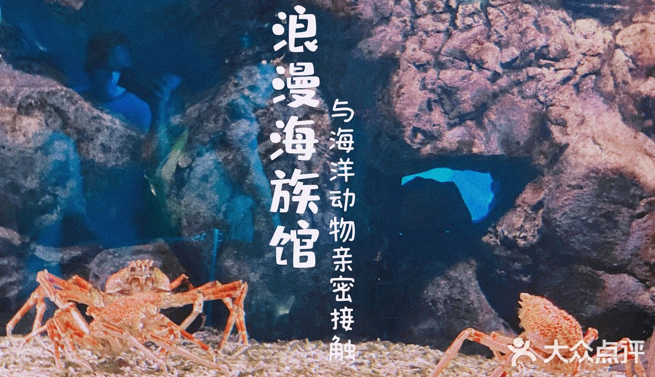 珠海长隆海洋王国超实用攻略❗️下篇