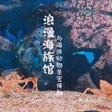 珠海长隆海洋王国超实用攻略❗️下篇