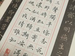 -音歆国艺馆·民乐培训(双榆树店)