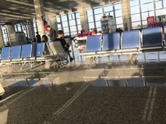 -石家庄正定国际机场-T2航站楼