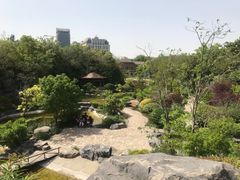 -上海吴淞炮台湾国家湿地公园