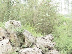 -紫竹院公园冰场