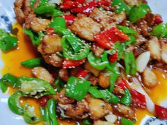 -煲来饱去冷水鱼