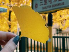-三里屯东五街银杏大道