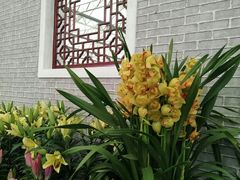 -万顷园艺世界