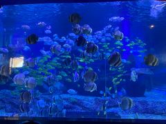 -石林冰雪海洋世界